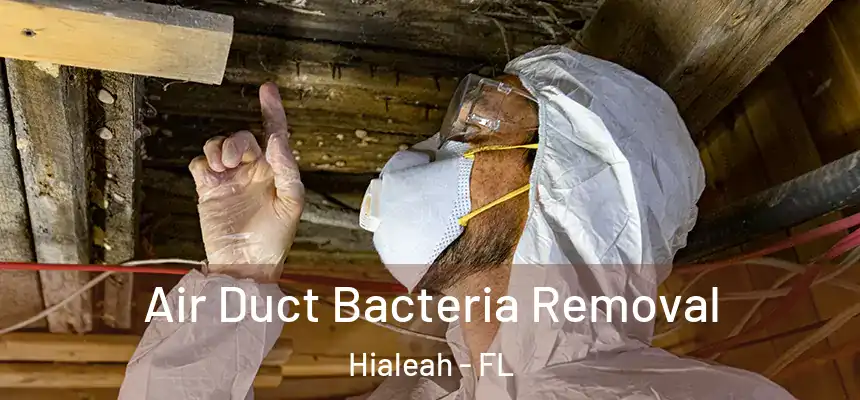  Air Duct Bacteria Removal Hialeah - FL