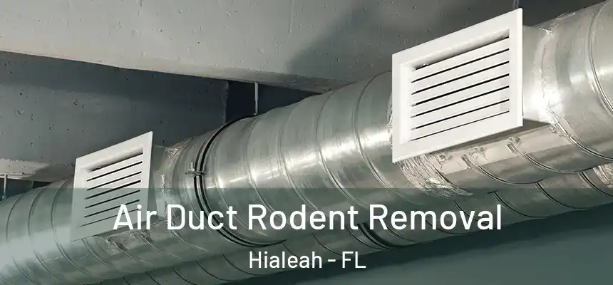  Air Duct Rodent Removal Hialeah - FL