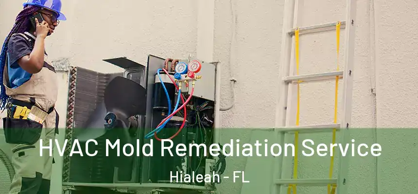  HVAC Mold Remediation Service Hialeah - FL