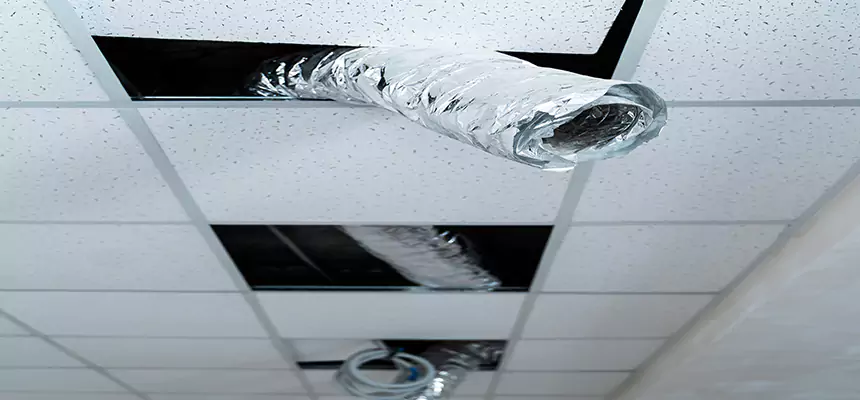 Affordable HVAC Sanitizing After Pest Removal in Hialeah