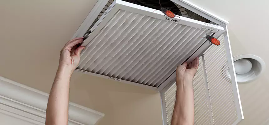 Our Insect Removal from Air Ducts Services in Hialeah, FL