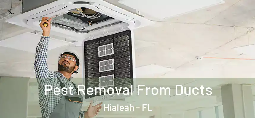  Pest Removal From Ducts Hialeah - FL