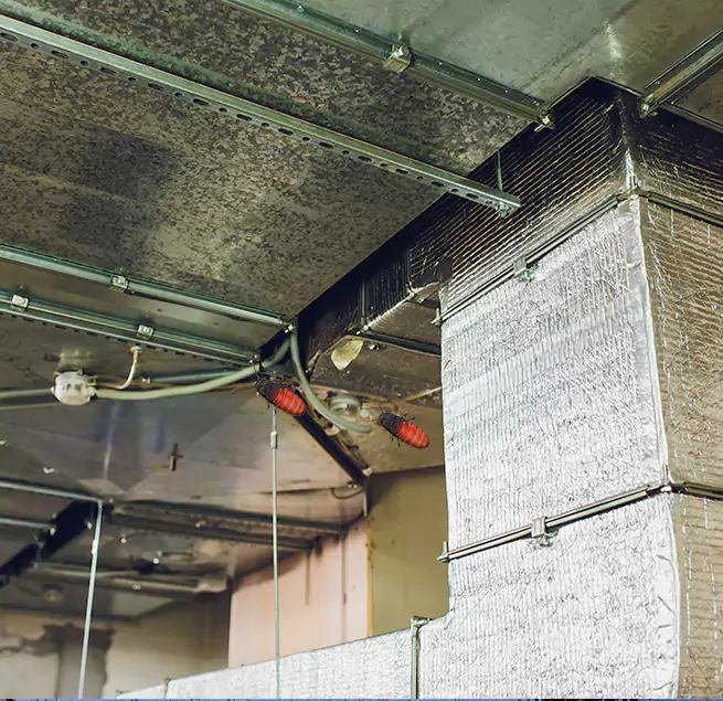 Why Homeowners & Businesses Trust Us in Hialeah, FL?