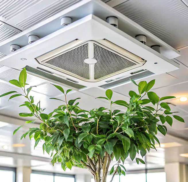 Why Homeowners & Businesses Trust Us in Hialeah, FL?